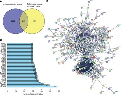 A CD8+ T cell-associated immune gene panel for prediction of the prognosis and immunotherapeutic effect of melanoma